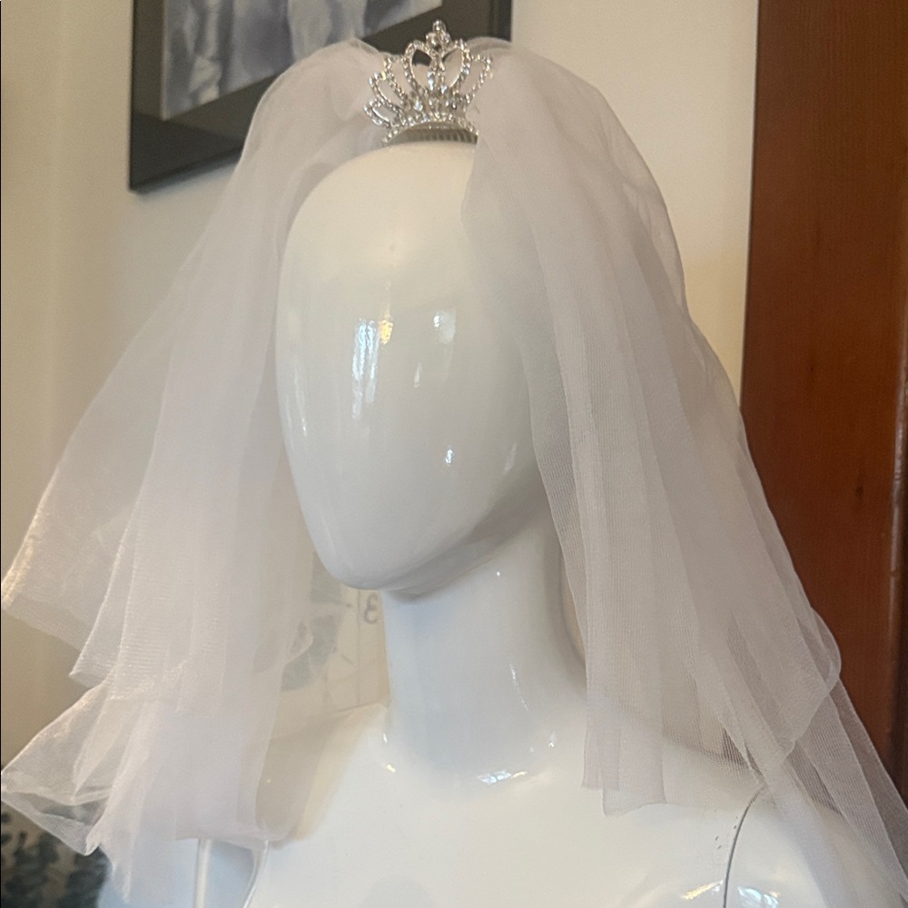 Elegant White Bridal Veil with Tiara clip